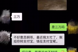 嵊州如何避免债务纠纷？专业追讨公司教您应对之策